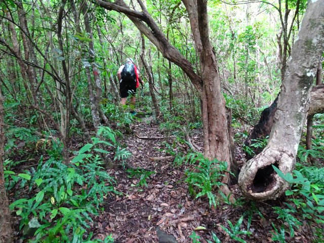 Les derniers mètres en forêt avant les rochers