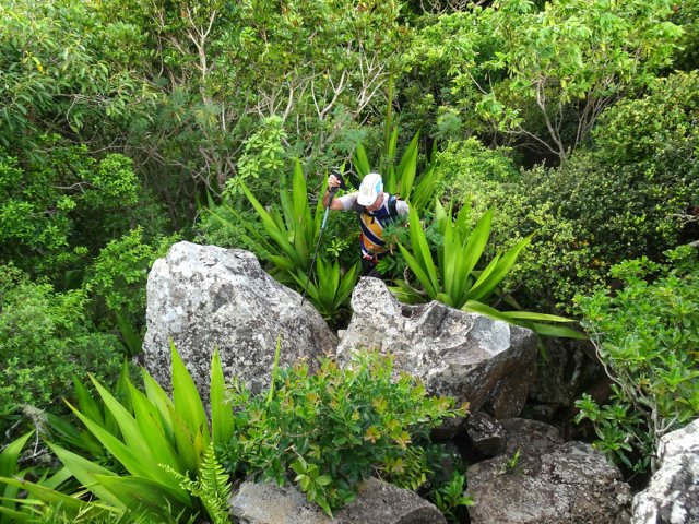 Le sommet est d'abord encombré de grosses roches à escalader