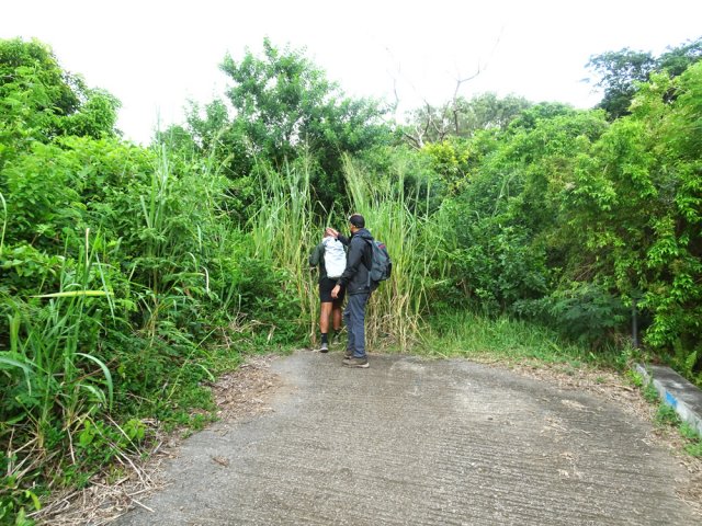 A la fin de la route, le chemin est envahi
