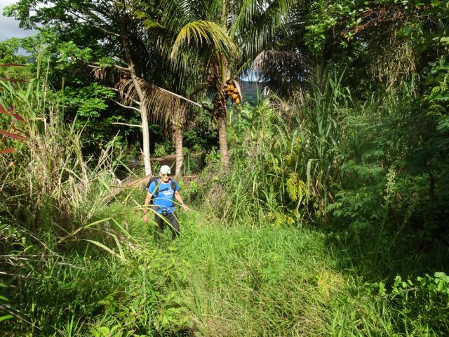 On passe sans problème malgré les hautes herbes