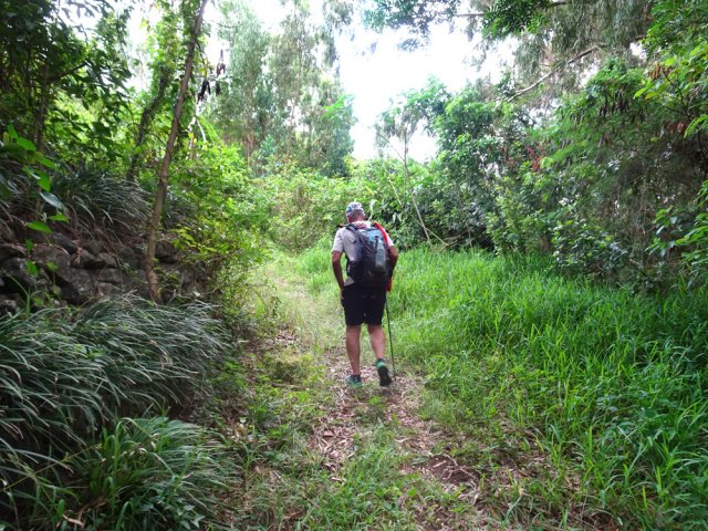 Pente faible en pleine nature près des restes de murs