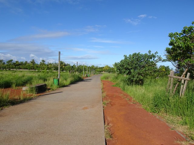 Des rues sans circulation pour de promener sans danger