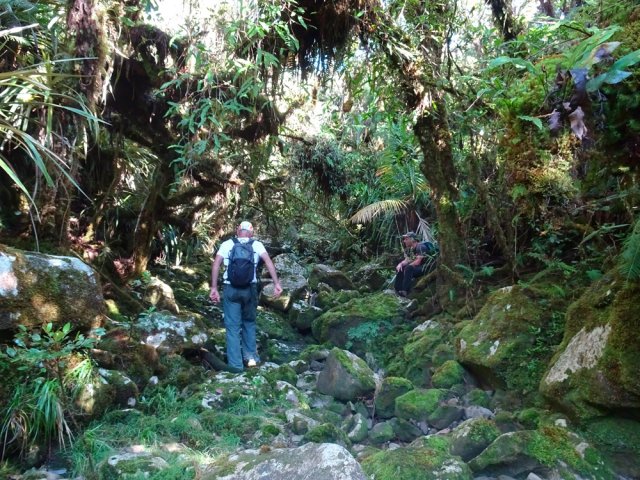 Le fond moussu des ravines peut être glissant