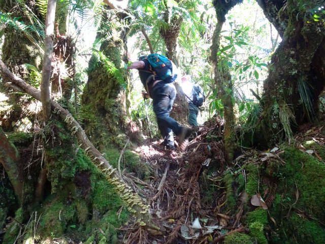 Le sentier est le plus souvent bien marqué et facile à suivre