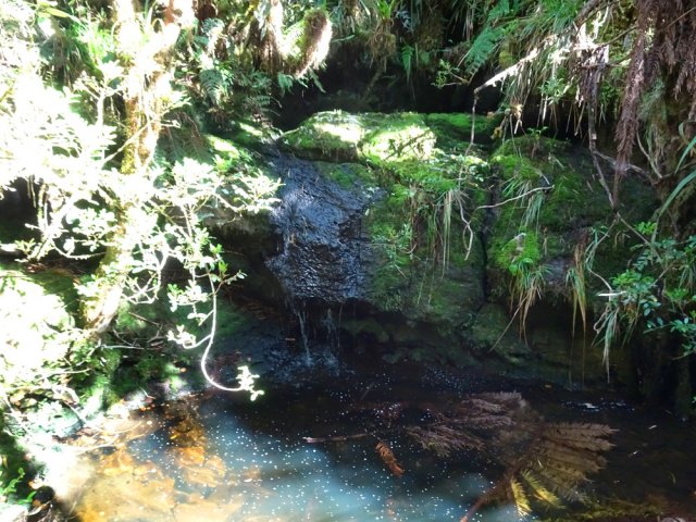 Un filet d'eau, qui coule dans un bassin, permet de laver les chaussures