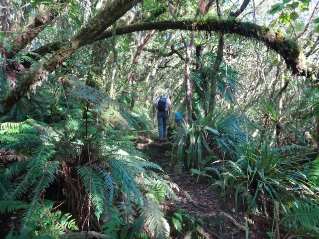 Sentier très large par rapport à la suite
