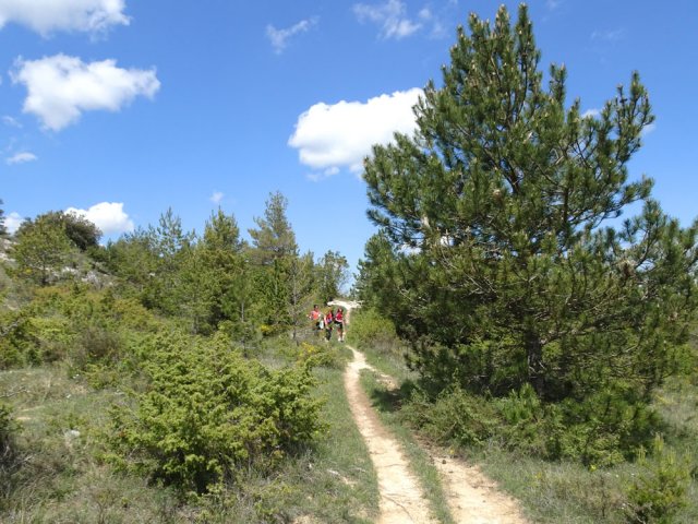 Revenir à l'aven et poursuivre sur d'agréables sentiers dans les pinèdes