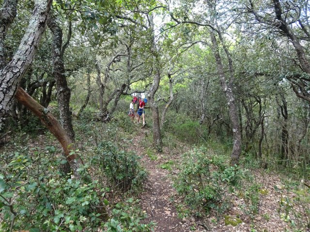 Descente en sous-bois pour arriver aux falaises
