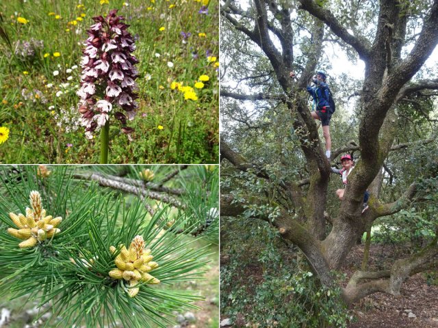 La nature, au printemps, ne peut laisser personne indifférent