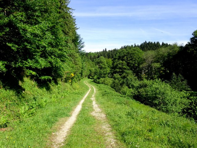 Les vététistes se régalent sur ces chemins propres et secs