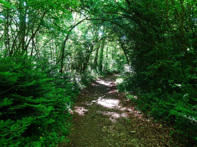 Le cheminement change pour atteindre le Ruisseau de Sourette