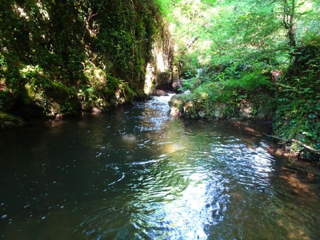 Le ruisseau est un petit torrent qui alimente le lac