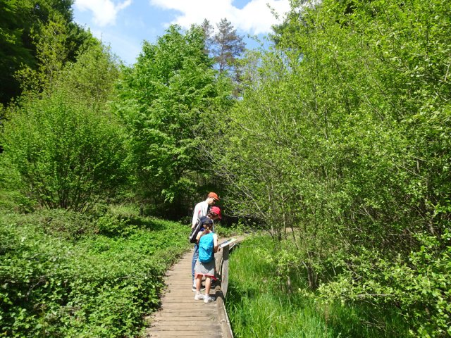 Encore des panneaux pour une lecture instructive