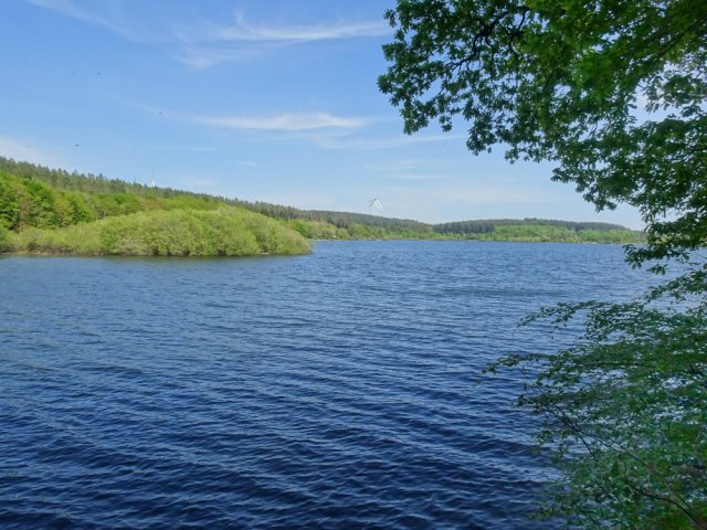 Les larges vues sur le lac sont plus rares qu'on imagine