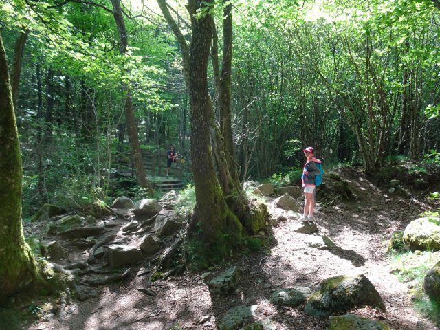 Un autre petit ruisseau à franchir par une passerelle