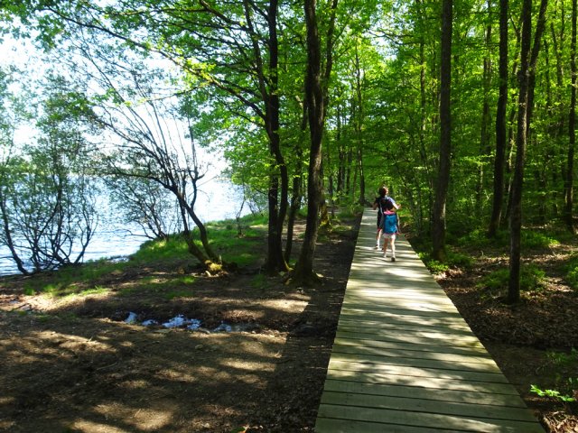 On peut poursuivre par le sentier ou choisir le caillebotis