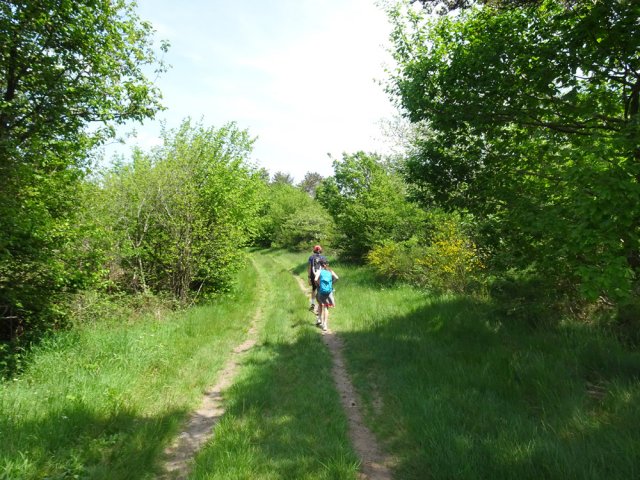 Plusieurs chemins possibles, tous aussi agréables les uns que les autres