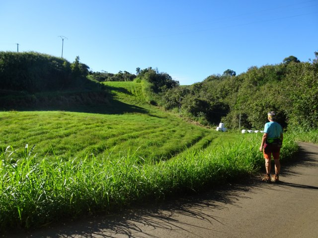 Longue boucle de la route contournant un pâturage