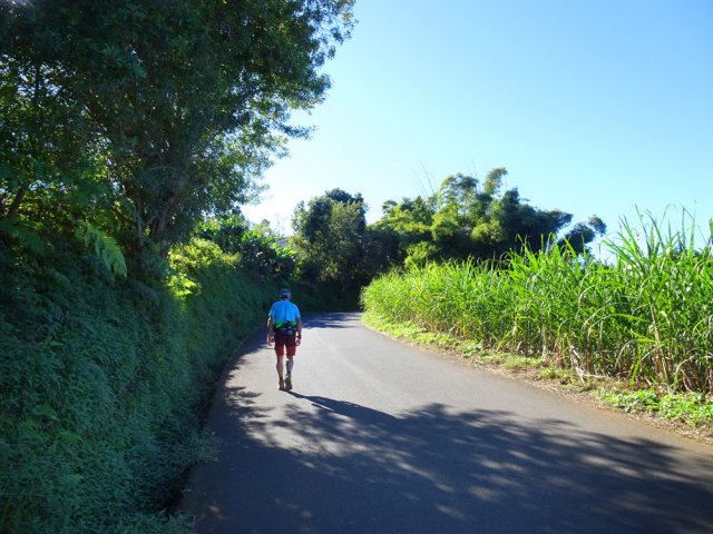 Un détour sur route s’effectue en pleine campagne