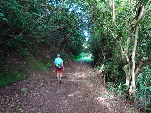 Large allée menant au stade de Piton des Goyaves