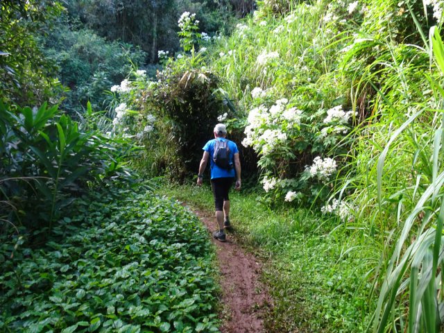 L'endroit fleuri est charmant