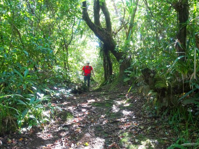 Le sentier Jacques Payet, en descente constante
