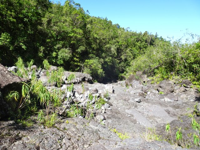 Détour dans le lit de la Ravine de Basse Vallée