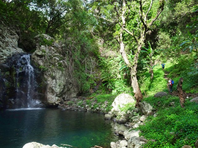 Nouvelle échappatoire en rive gauche à partir des bananiers