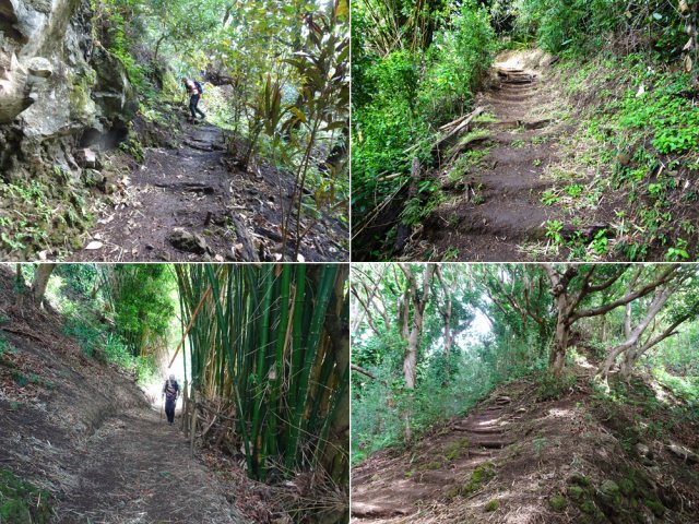 Le sentier, très fréquenté, est large et bien entretenu