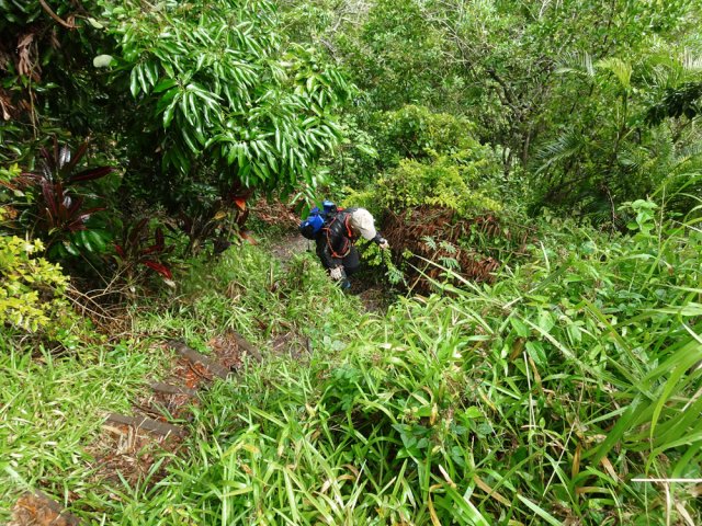 La remontée vers la route est abrupte