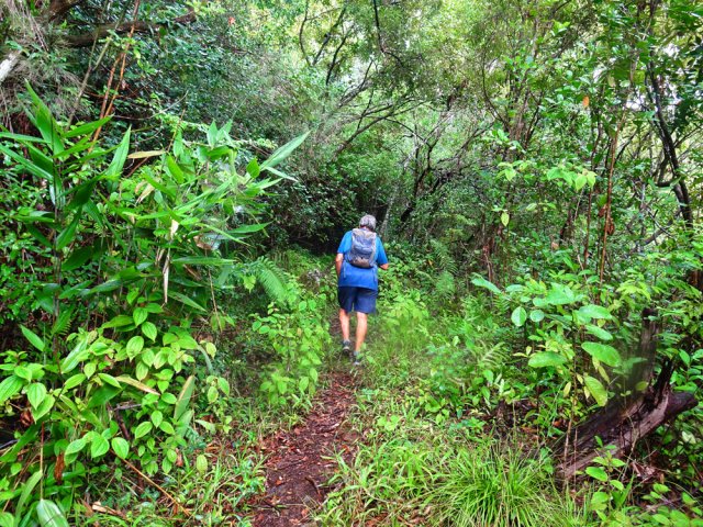 Emprunter le sentier en rive droite pour atteindre le haut de la chute