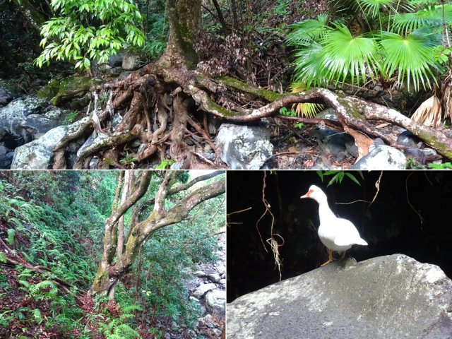 Quelques rencontres originales lors de la sortie