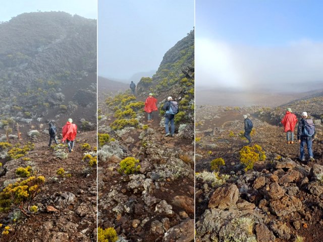 Les matins d'hiver peuvent être très froids