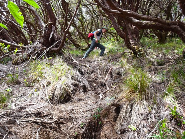 La pente est aussi forte que la descente de la Rampe Quatorze