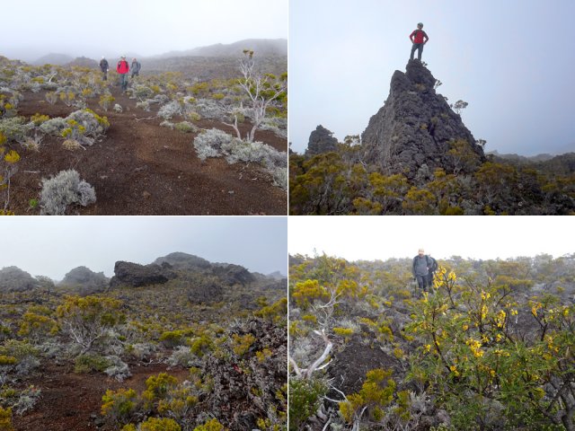 On passe partout sans endommager la végétation de branles