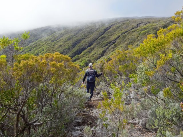 Un seul objectif durant la descente : trouver un passage sans végétation
