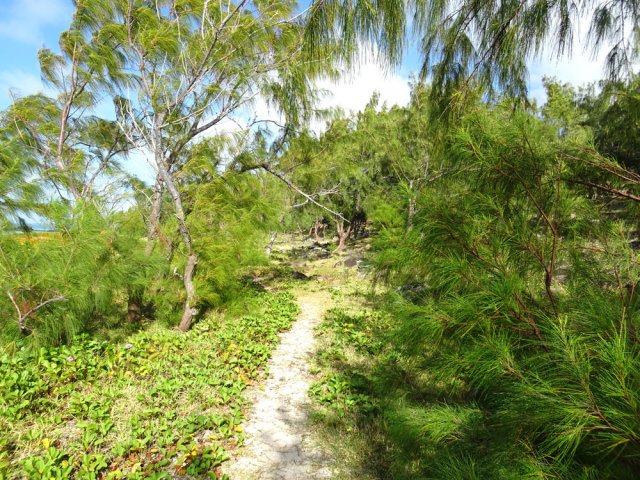 La longue plage s'évite par un sentier littoral