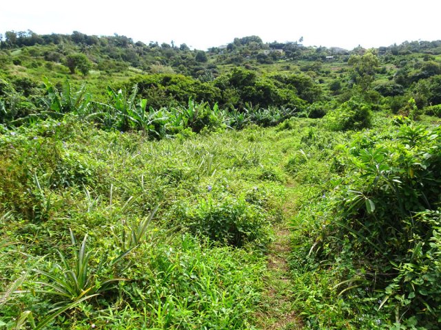 Poursuivre à travers champs sur un sentier plus discret