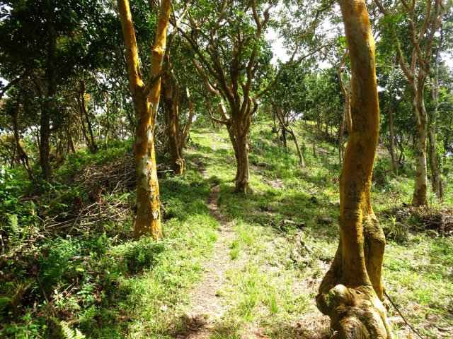 Montée régulière sur une ligne de crête