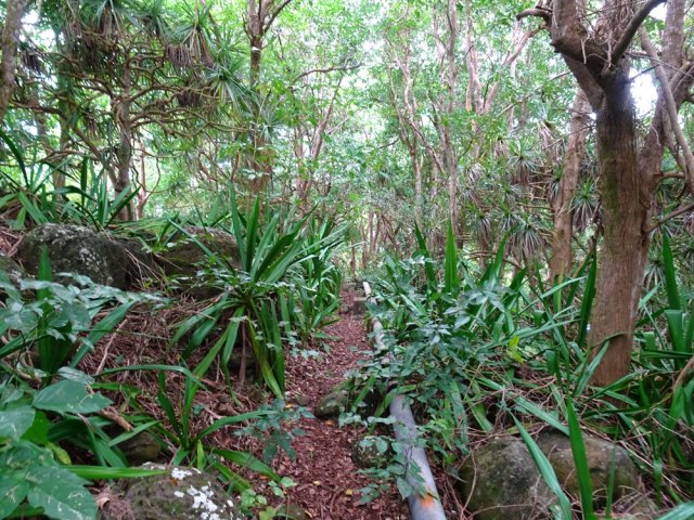 Sentier très agréable le long d'une canalisation