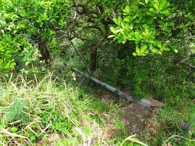 La descente comporte de nombreuses parties très pentues et glissantes