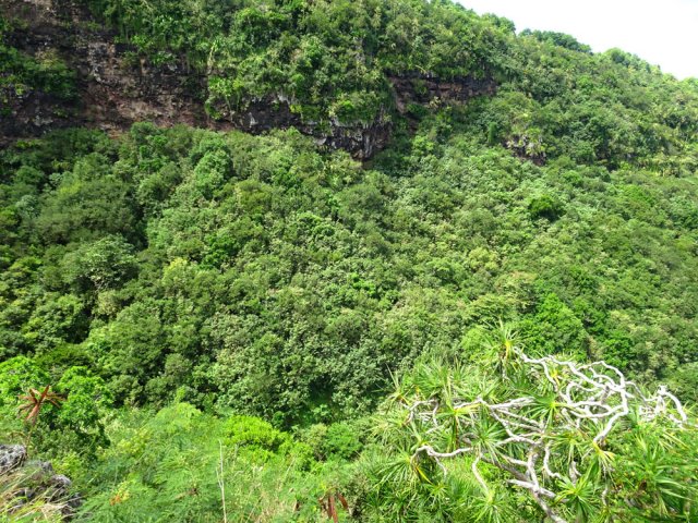 Coup d’œil sur la profonde vallée de la Rivière Mourouk
