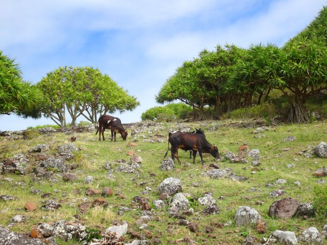 Voici les responsables des très nombreux faux sentiers