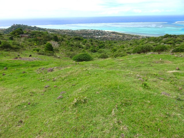 Plus haut, la pente se couvre de prairies