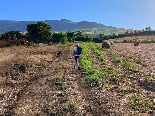 Après la coupe, les paysages ne sont plus masqués