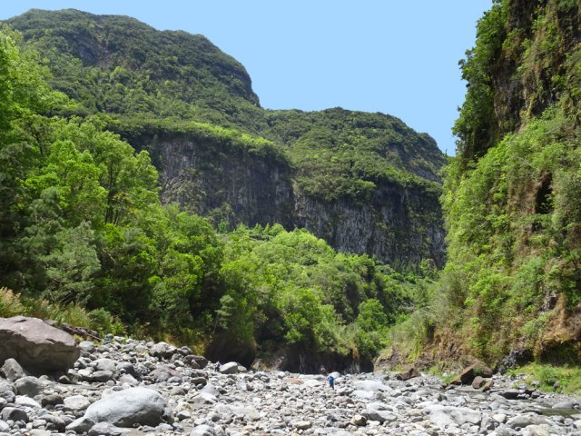 Belles falaises d'ignimbrite soudée et prismée de Salazie