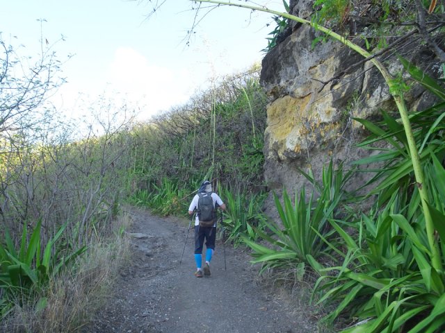 Beaucoup de chocas le long de cette piste