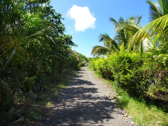 Laisser le chemin vers la station de pompage et entamer la traversée des vergers