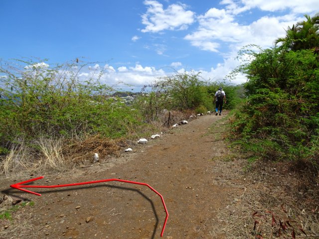 Le sentier qui descend au mur d'escalade