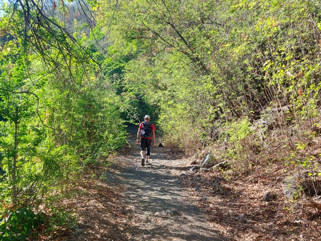 Rares portions ombragées lors de la remontée de la piste